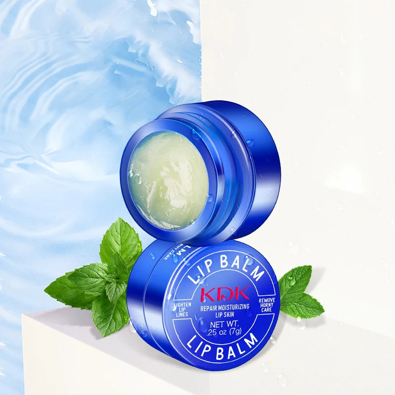 Dark Lip Corrector Balm – Aloe Repair Mask for Lightening Pigmentation & Moisturising Lips (Blue Jar)